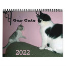 Pesquisar por gato siamese calendarios Animais de estimação
