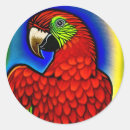 Pesquisar por papagaio adesivos Qualquer pessoa
