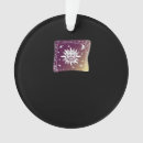 Pesquisar por feiticeiros ornamentos Lua