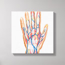 Pesquisar por artérias impressão de canvas Fisiologia