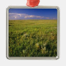 Pesquisar por do nordeste ornamentos Paisagem