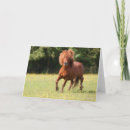 Pesquisar por pantanal cartoes Raça