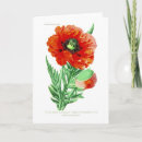 Pesquisar por ilustração botânica vintage cartoes Flor