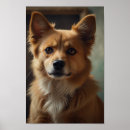 Pesquisar por animais estimação retratos Qualquer pessoa