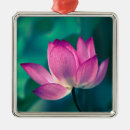 Pesquisar por flor de lótus ornamentos Planta