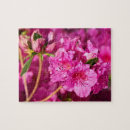 Pesquisar por azáleas cor de rosa Floral