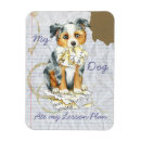 Pesquisar por mini pastor americano Para todos