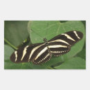 Pesquisar por borboleta zebra adesivos Insetos