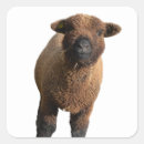 Pesquisar por cordeiro artesanato material Ovelha