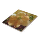 Pesquisar por mães foto azulejos Flores