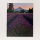 Pesquisar por campos da lavanda quebra cabecas Oregon