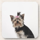 Pesquisar por yorkshire terrier porta copos Cães