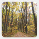 Pesquisar por trail adesivos Paisagem