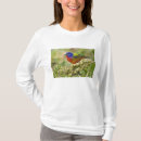 Pesquisar por plumagem camisetas Natureza