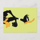 Pesquisar por daffy duck cartoes postais Pato