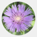 Pesquisar por flor nativa adesivos Jardim