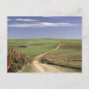 Pesquisar por cabo ocidental cartoes postais Horizontal