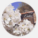 Pesquisar por easter adesivos Primavera