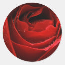 Pesquisar por porte postal adesivos Floral