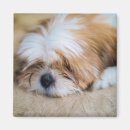 Pesquisar por são paulo imas Retrato