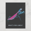 Pesquisar por entomologia cartoes postais Inseto