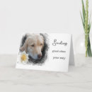 Pesquisar por cão com flores cartoes Para todos