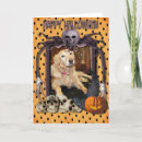 Pesquisar por dog halloween cartoes Pets