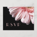 Pesquisar por gerberas convites Rsvp