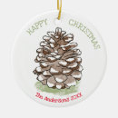 Pesquisar por pine cone ornamentos Neve