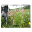 Pesquisar por variado fotografias Calendário