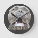 Pesquisar por cane corso pôsteres pósteres Cães