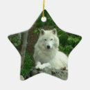Pesquisar por lobo branco ornamentos Animal