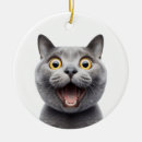 Pesquisar por russo ornamentos Azul