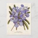 Pesquisar por botanical cartoes postais Qualquer pessoa