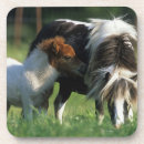 Pesquisar por diminuto porta copos Potro da égua