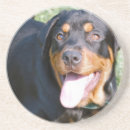 Pesquisar por cão do rottweiler porta copos Cães