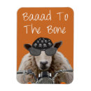 Pesquisar por ossos imas Galo