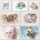 Pesquisar por perfis adesivos Qualquer pessoa