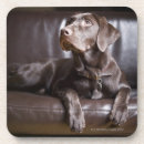 Pesquisar por sofá porta copos Encontro para baixo