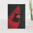 Pesquisar por pássaro natal cartoes Vermelho