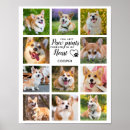 Pesquisar por paws pôsteres pósteres Lembrança