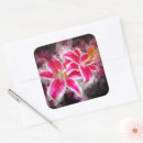 Pesquisar por vermelho do lírio adesivos Aquarela