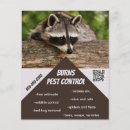 Pesquisar por insetos flyers Animais