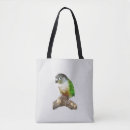 Pesquisar por conure Animal