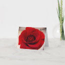 Pesquisar por red rose convites Floral