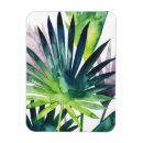 Pesquisar por palmas imas Tropicais