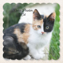 Pesquisar por fantasmas porta copos Engraçado