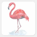 Pesquisar por flamingo cor de rosa adesivos Aquarela