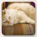 Pesquisar por sofá porta copos Horizontal