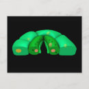 Pesquisar por epiderme cartoes postais Sem pessoas